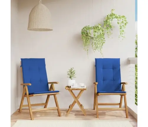 Allalastava Seljatoega Aiatoolid Patjadega, 2 Tk, Tiikpuu