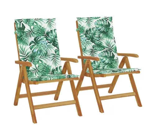 Allalastava Seljatoega Aiatoolid Patjadega, 2 Tk, Tiikpuu