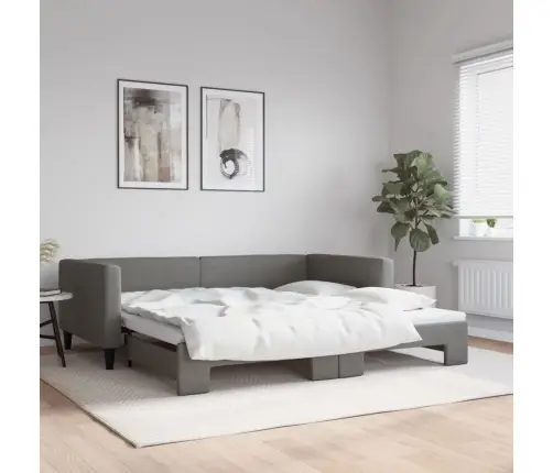 Dīvāngulta Bez Matrača, Tumši Pelēks, 100X200 Cm Vidaxl
