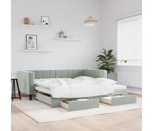 Diivanvoodi Väljatõmmatava Osa Ja Sahtlitega, Helehall, Samet