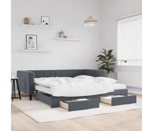 Lova Su Ištraukiama Dalimi/Stalčiais, Pilka, 100X200cm Aksomas