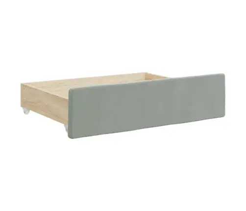 Diivanvoodi Väljatõmmatava Osa Ja Sahtlitega, Helehall, Samet