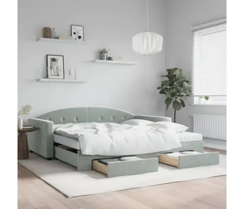 Diivanvoodi Väljatõmmatava Osa Ja Sahtlitega, Helehall, Samet