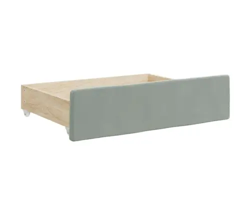 Izvelkams Dīvāns Ar Atvilktnēm, Gaiši Pelēks, 100X200 Cm, Samts Vidaxl