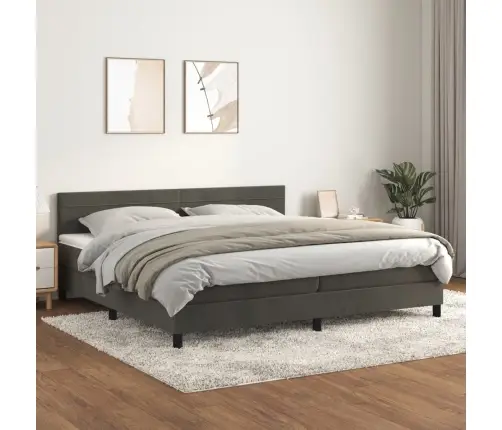 Lova Su Spyruoklėmis Ir Čiužiniu, Pilka, 200X200 cm Aksomas