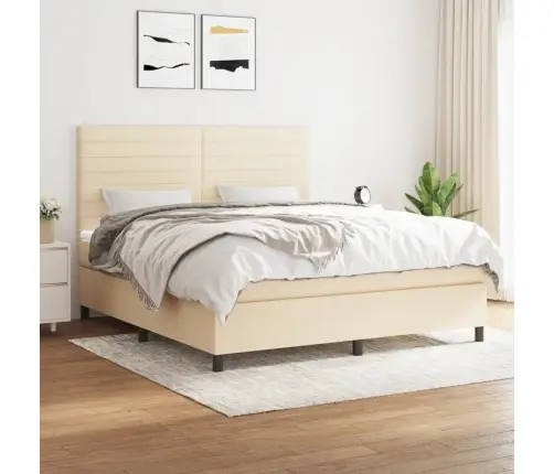 Kontinentaalvoodi Madratsiga, Kreemjas, 160X200 cm Kangas