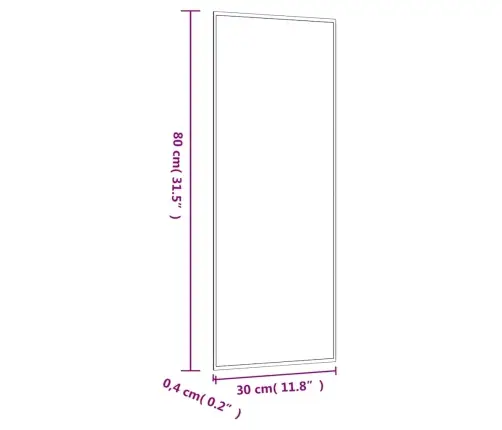 Sieninis Veidrodis, 30X80cm Stiklas, Stačiakampis