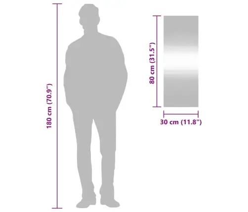 Sieninis Veidrodis, 30X80cm Stiklas, Stačiakampis