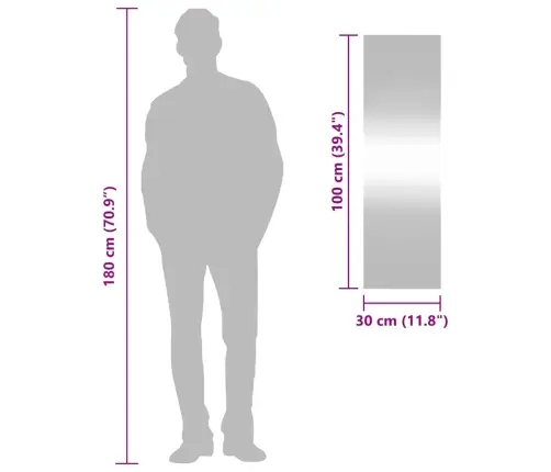 Sieninis Veidrodis, 30X100cm Stiklas, Stačiakampis