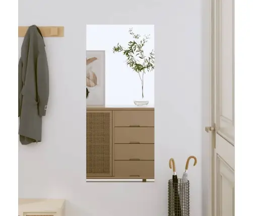 Sienas Spogulis, 40X80 Cm, Stikls, Taisnstūra Vidaxl