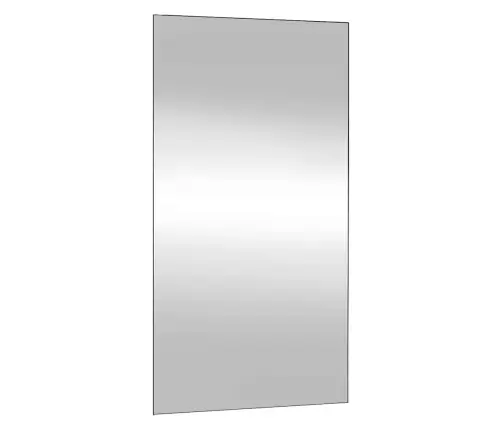 Sienas Spogulis, 50X100 Cm, Stikls, Taisnstūra Vidaxl