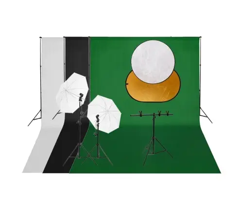 Fotostuudio Komplekt Valgustuse, Taustapildi Ja Reflektoriga