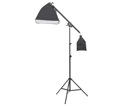 Fotostudijas Apgaismojuma Komplekts Ar Fonu Un Reflektoru Vidaxl