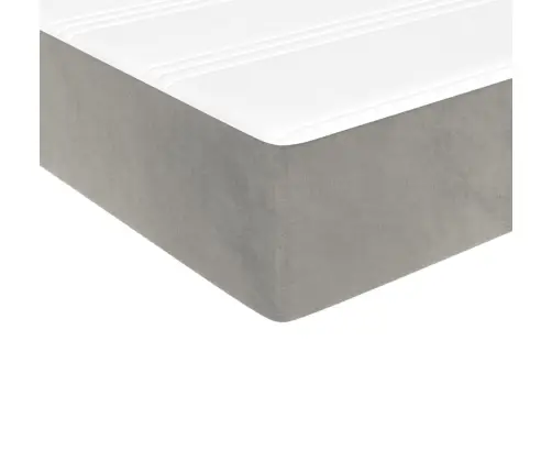 Lova Su Spyruoklėmis Ir Čiužiniu, Pilka, 200X200 cm Aksomas