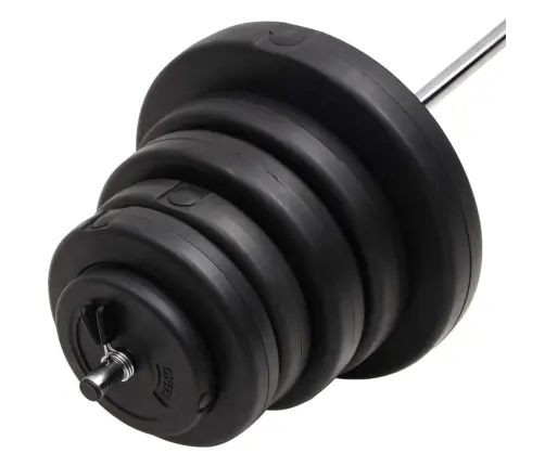 Svaru Stienis Ar Diskiem, 90 Kg Vidaxl