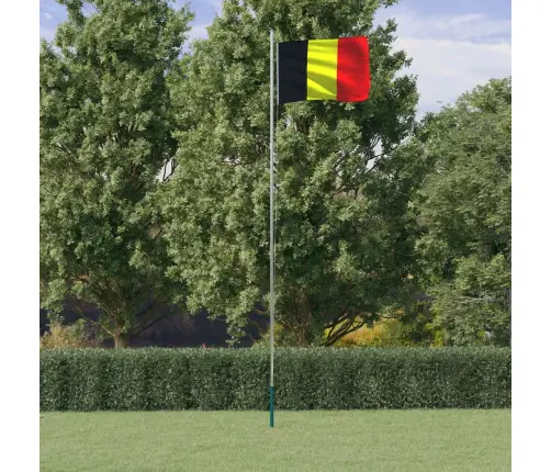 Beļģijas Karogs Un Masts, 6,23 M, Alumīnijs Vidaxl
