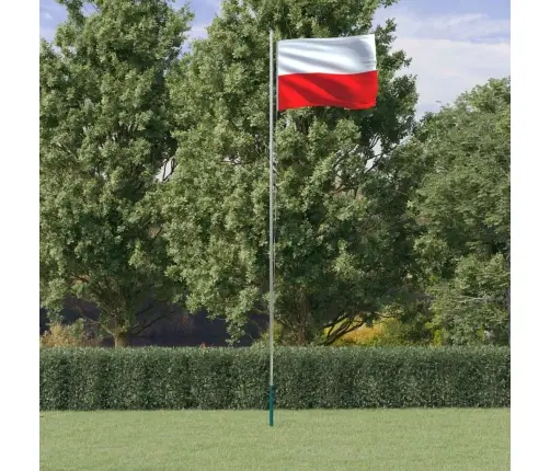 Polijas Karogs Un Masts, 6,23 M, Alumīnijs Vidaxl