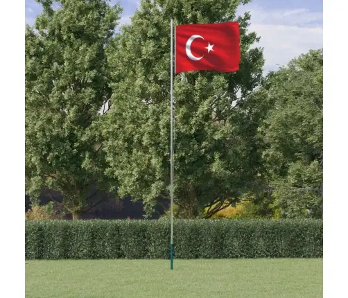 Turcijas Karogs Un Masts, 6,23 M, Alumīnijs Vidaxl