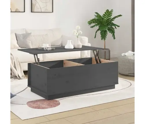 Kohvilaud, Hall, 100 X 50 X 35 cm Männipuit