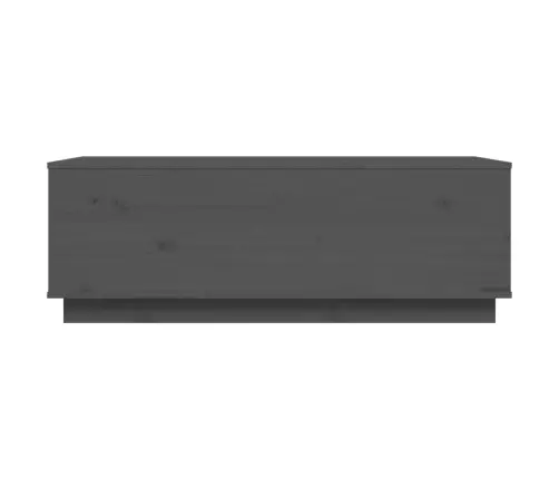 Kohvilaud, Hall, 100 X 50 X 35 cm Männipuit