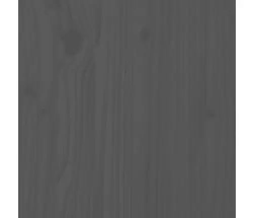 Kohvilaud, Hall, 100 X 50 X 35 cm Männipuit