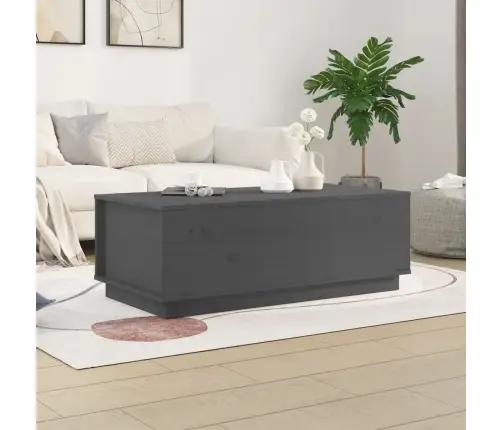 Kohvilaud, Hall, 100 X 50 X 35 cm Männipuit