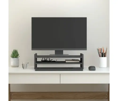 Monitora Paliktnis, Pelēks, 50X27X15 Cm, Priedes Masīvkoks Vidaxl