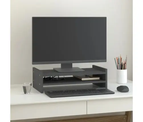 Monitora Paliktnis, Pelēks, 50X27X15 Cm, Priedes Masīvkoks Vidaxl