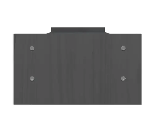 Monitora Paliktnis, Pelēks, 100X27X15 Cm, Priedes Masīvkoks Vidaxl