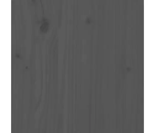 Monitora Paliktnis, Pelēks, 100X27X15 Cm, Priedes Masīvkoks Vidaxl