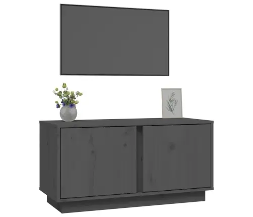 Tv Skapītis, Pelēks, 80X35X40,5 Cm, Priedes Masīvkoks Vidaxl