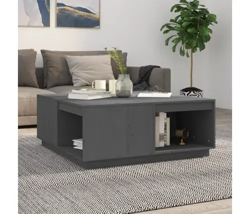 Kafijas Galdiņš, Pelēks, 100X101X40,5 Cm, Priedes Masīvkoks Vidaxl