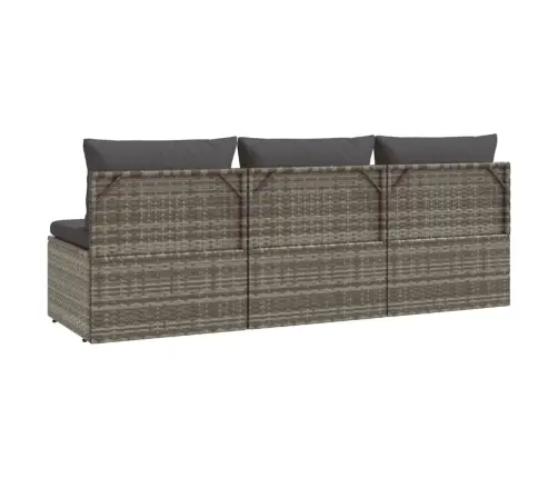 Trīsvietīgs Dārza Dīvāns Ar Matračiem, Pelēka Pe Rotangpalma Vidaxl