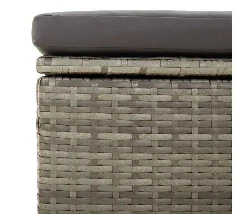 4-Daļīgs Dārza Atpūtas Mēbeļu Komplekts, Pelēka Pe Rotangpalma Vidaxl