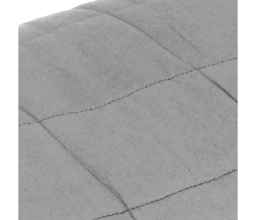 Smaguma Sega, Pelēka, 138X200 Cm, 6 Kg, Audums Vidaxl