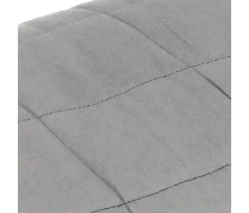 Smaguma Sega, Pelēka, 200X200 Cm, 13 Kg, Audums Vidaxl