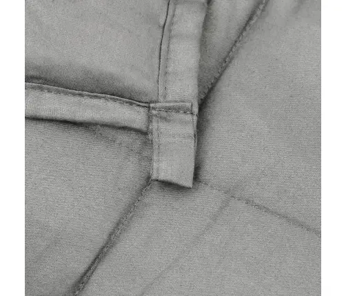 Smaguma Sega, Pelēka, 200X225 Cm, 9 Kg, Audums Vidaxl