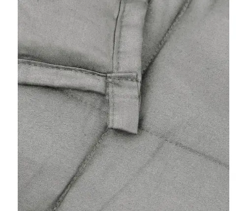 Smaguma Sega, Pelēka, 220X260 Cm, 15 Kg, Audums Vidaxl