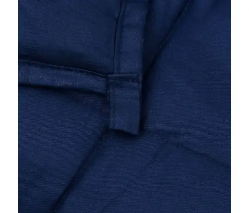 Smaguma Sega, Zila, 138X200 Cm, 10 Kg, Audums Vidaxl