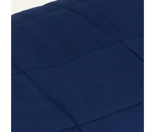 Smaguma Sega, Zila, 220X235 Cm, 15 Kg, Audums Vidaxl