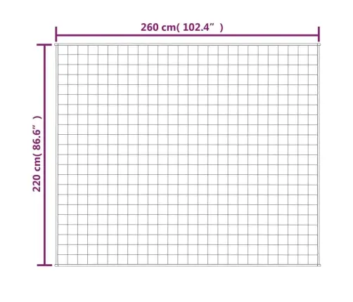 Raskustekk Sinine 220X260 Cm 11 Kg Kangas