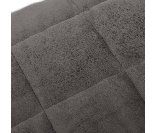 Smaguma Sega, Pelēka, 200X200 Cm, 13 Kg, Audums Vidaxl
