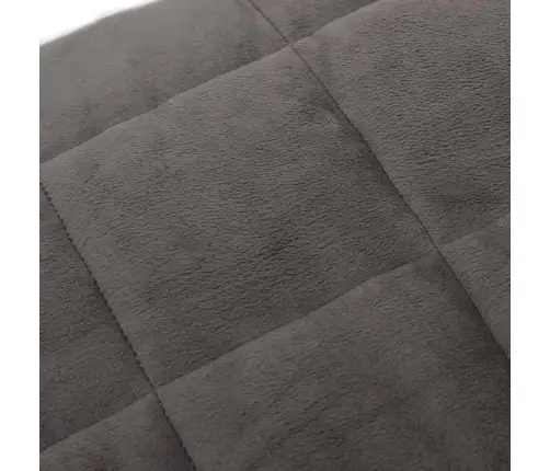Smaguma Sega, Pelēka, 220X235 Cm, 11 Kg, Audums Vidaxl