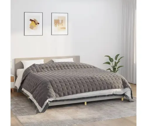 Smaguma Sega, Pelēka, 235X290 Cm, 11 Kg, Audums Vidaxl