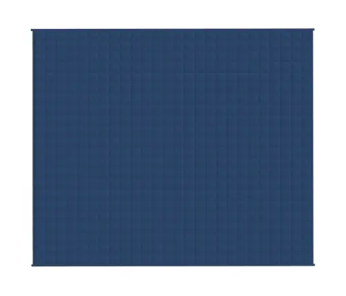 Smaguma Sega, Zila, 220X260 Cm, 11 Kg, Audums Vidaxl