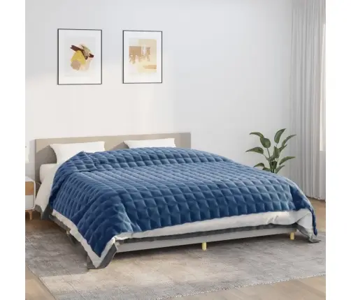 Smaguma Sega, Zila, 220X260 Cm, 11 Kg, Audums Vidaxl