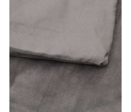 Smaguma Sega Ar Pārvalku, Pelēka, 150X200 Cm, 11 Kg, Audums Vidaxl