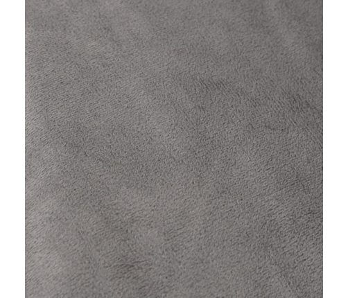 Smaguma Sega Ar Pārvalku, Pelēka, 200X200 Cm, 13 Kg, Audums Vidaxl