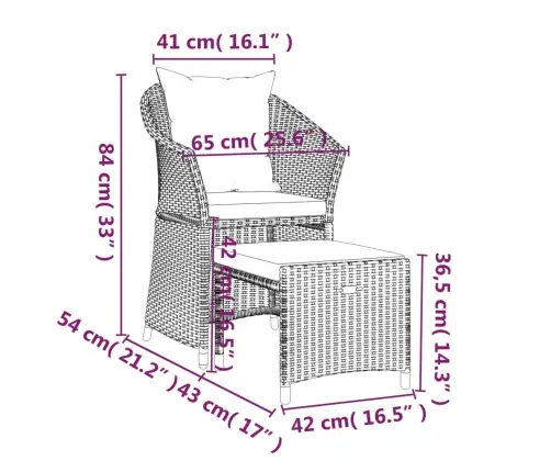 2-Daļīgs Dārza Atpūtas Mēbeļu Komplekts, Brūna Pe Rotangpalma Vidaxl