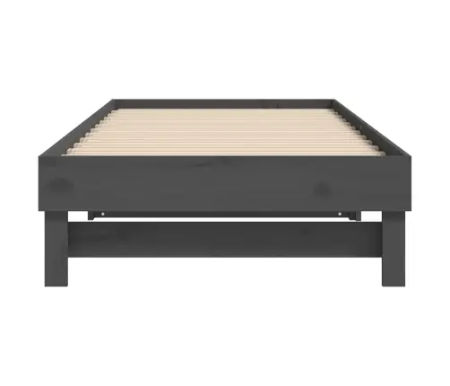 Izvelkama Gulta, Pelēka, 2X(100X200) Cm, Priedes Masīvkoks Vidaxl